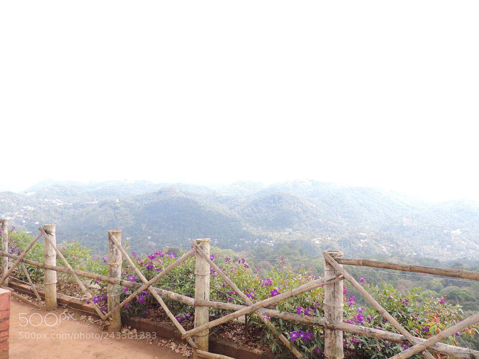 Nikon Coolpix P520 sample photo. Top hill station munnar photography