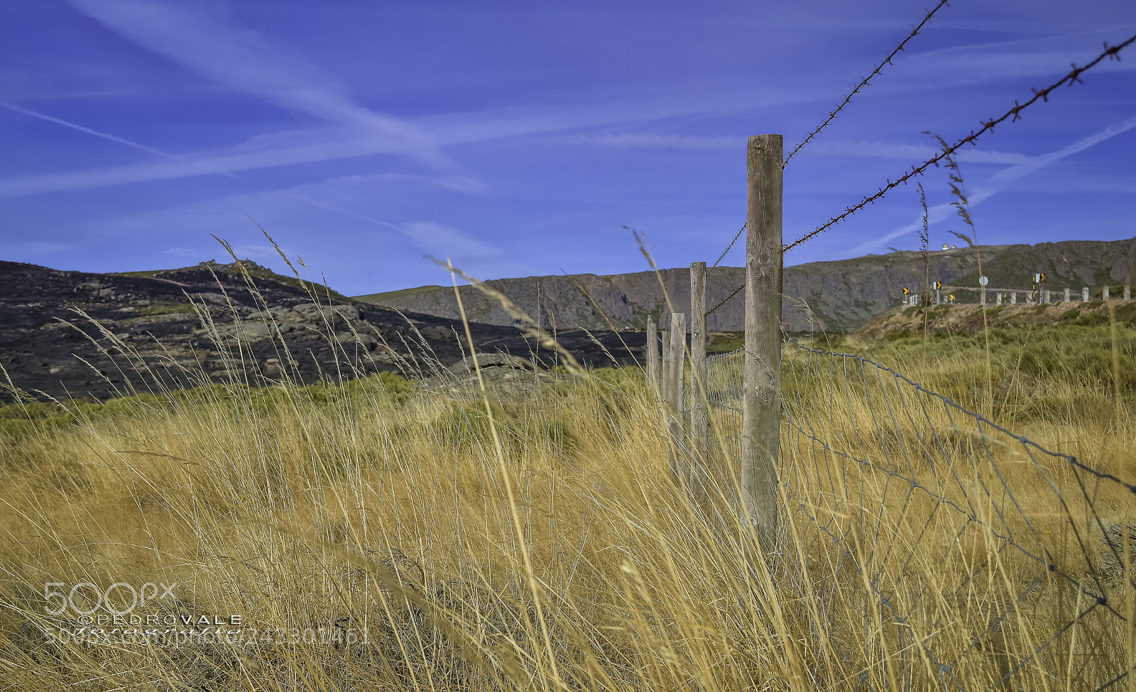 Nikon D5500 sample photo. The barbed wire fence. photography