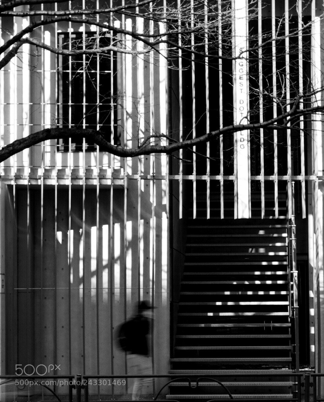 Sony a7 II sample photo. Bw photography
