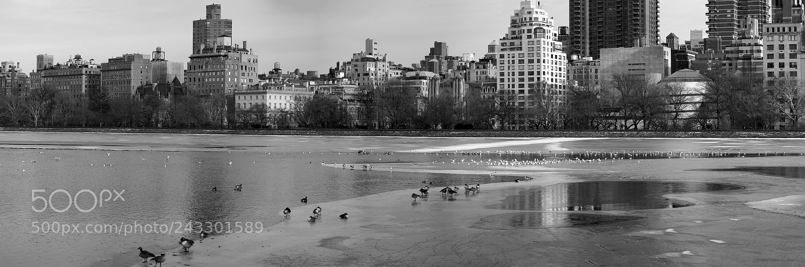 Sony a7R II sample photo. Jacqueline kennedy reservoir in photography