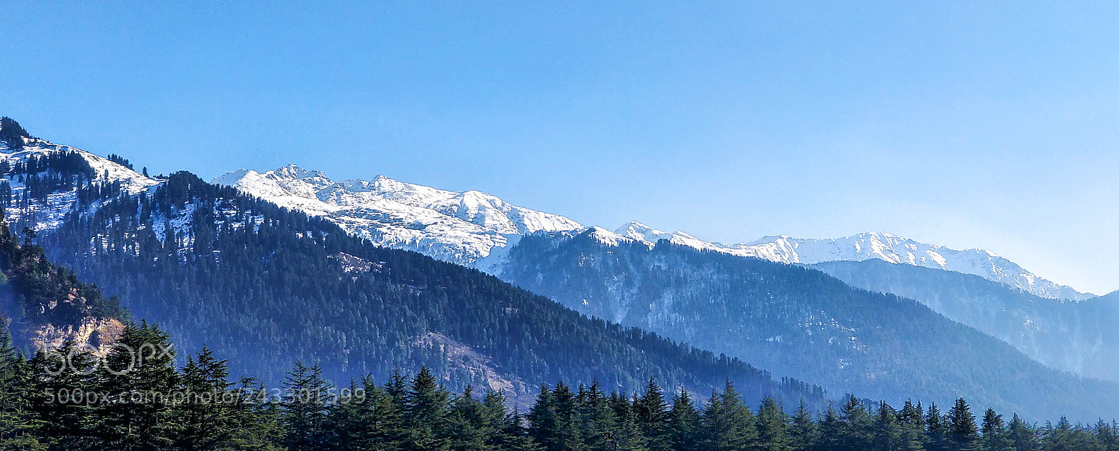 OnePlus 5 sample photo. Untitled photography