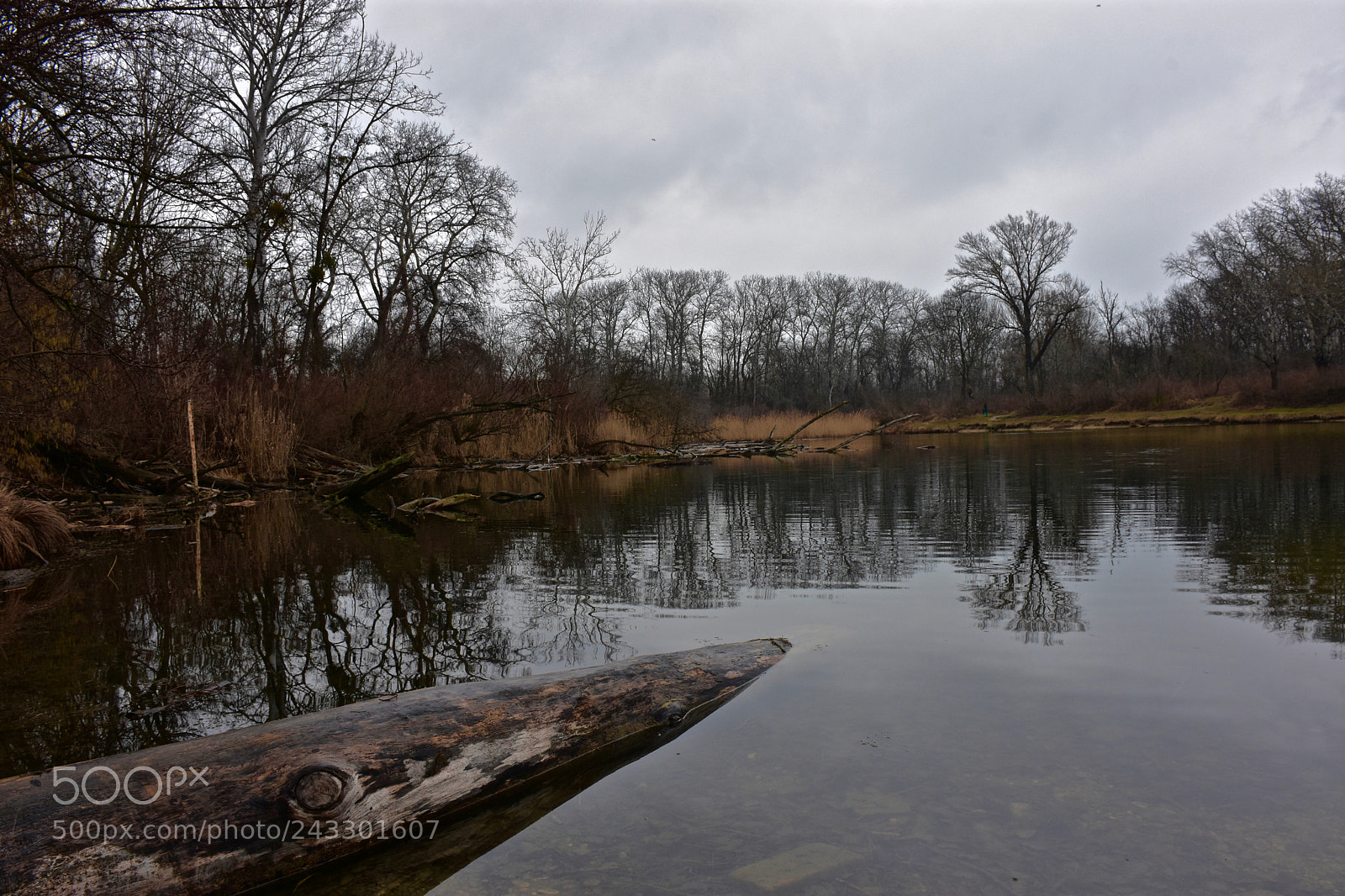Nikon D7200 sample photo. Waiting photography