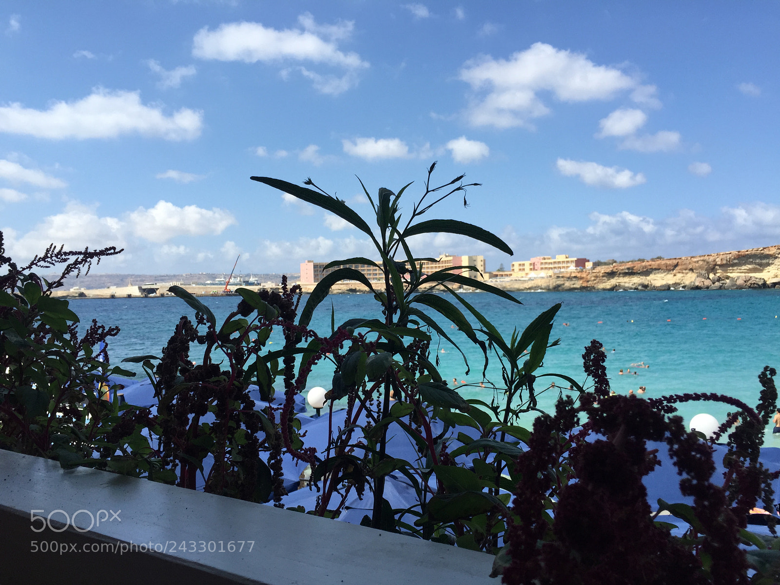 Apple iPhone 6 sample photo. Paradise bay photography