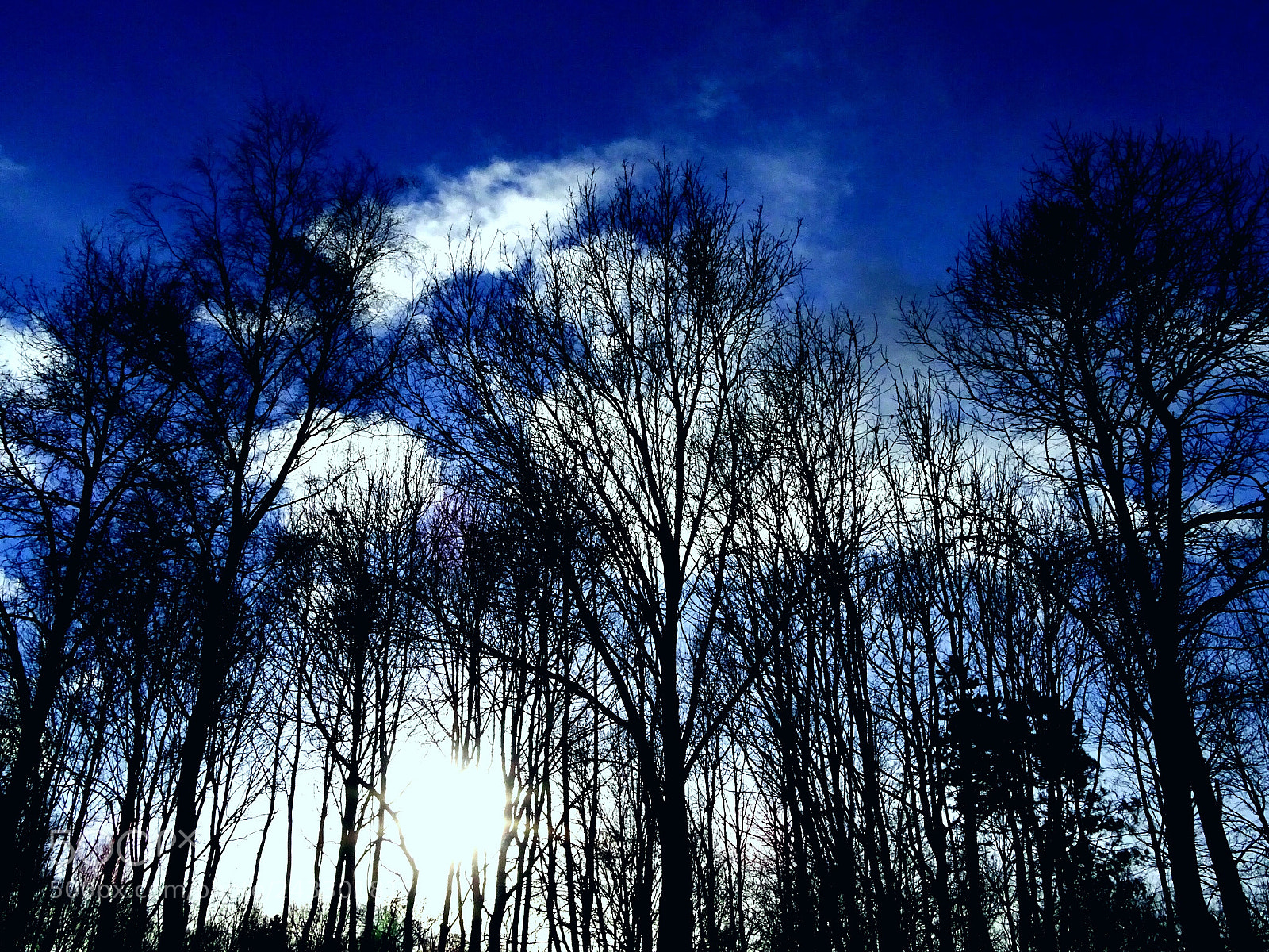 Sony Cyber-shot DSC-HX400V sample photo. Blue skies winter view photography