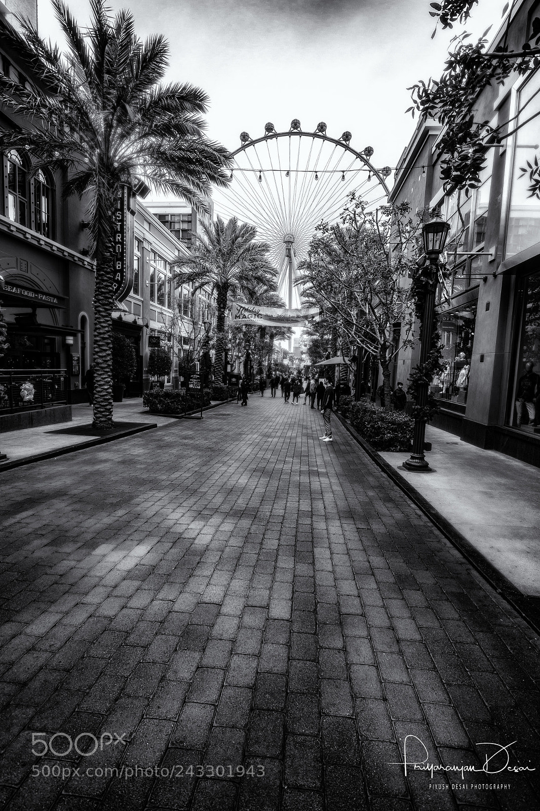 Canon EOS M5 sample photo. Las vegas photography
