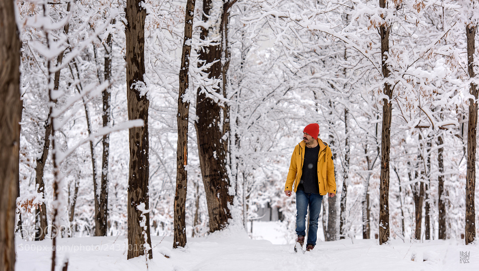 Nikon D810 sample photo. Snow photography