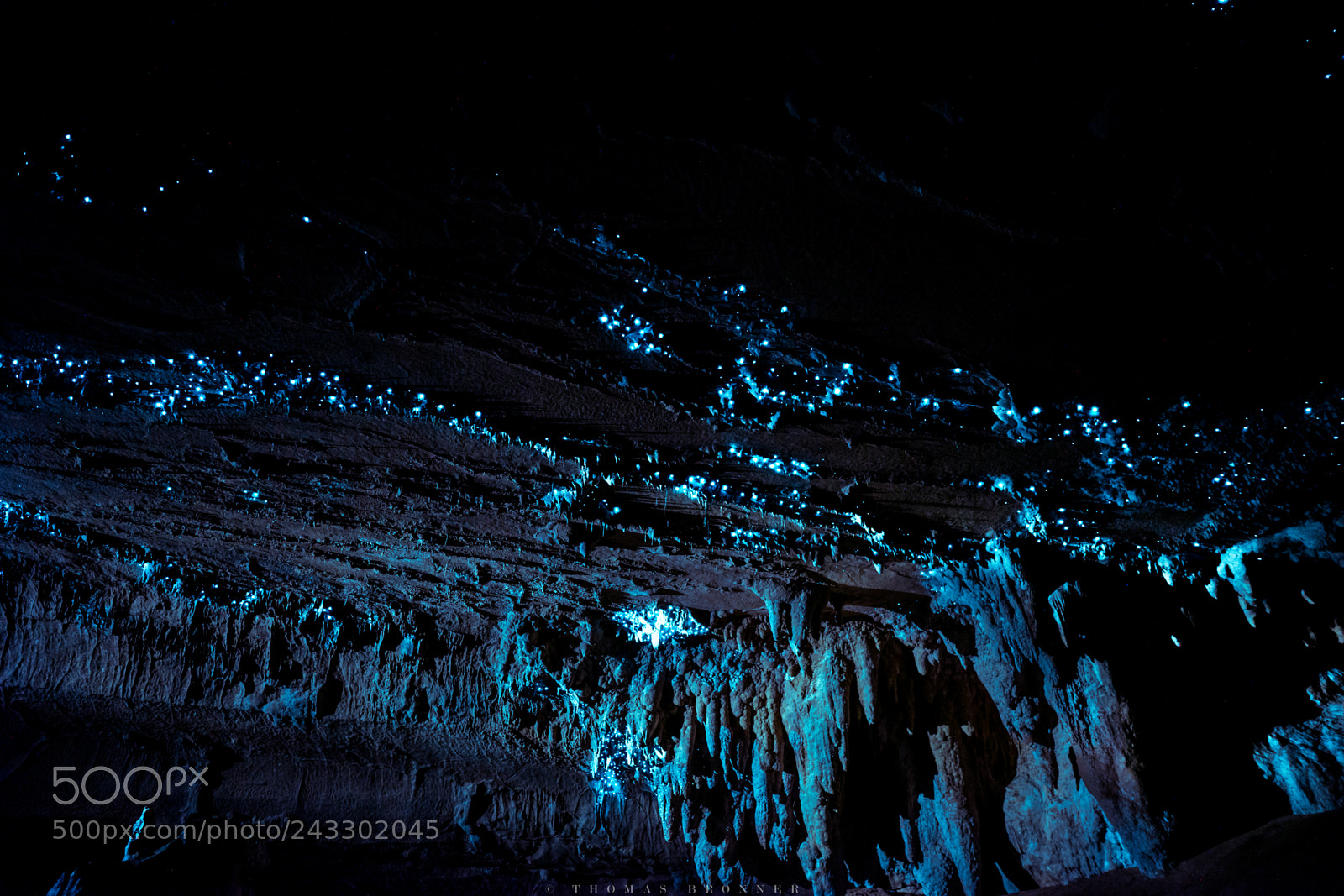 Sony a7 II sample photo. Glowworm cave photography