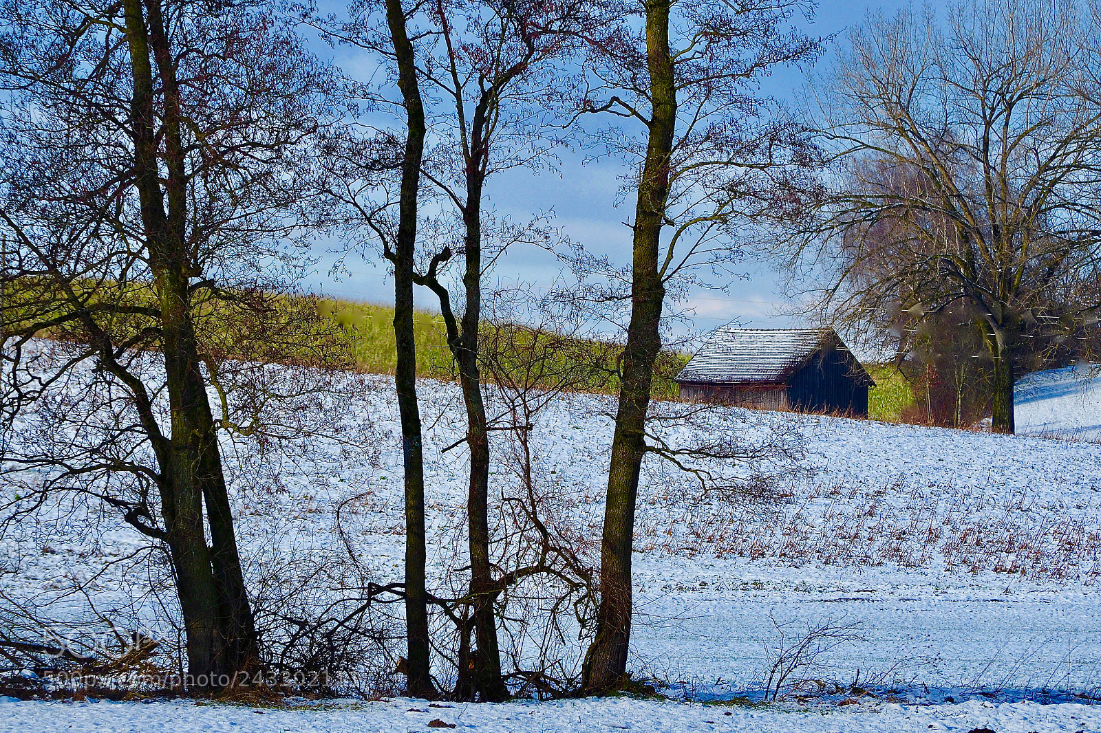 Olympus OM-D E-M5 II sample photo. Winter glimpse bayern photography