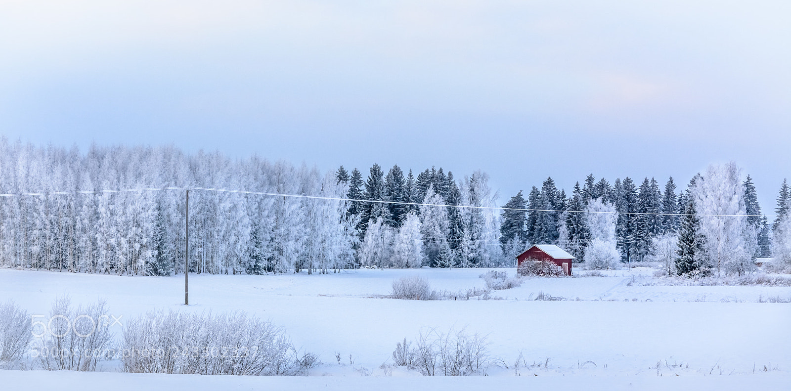 Nikon D7100 sample photo. Winter photography