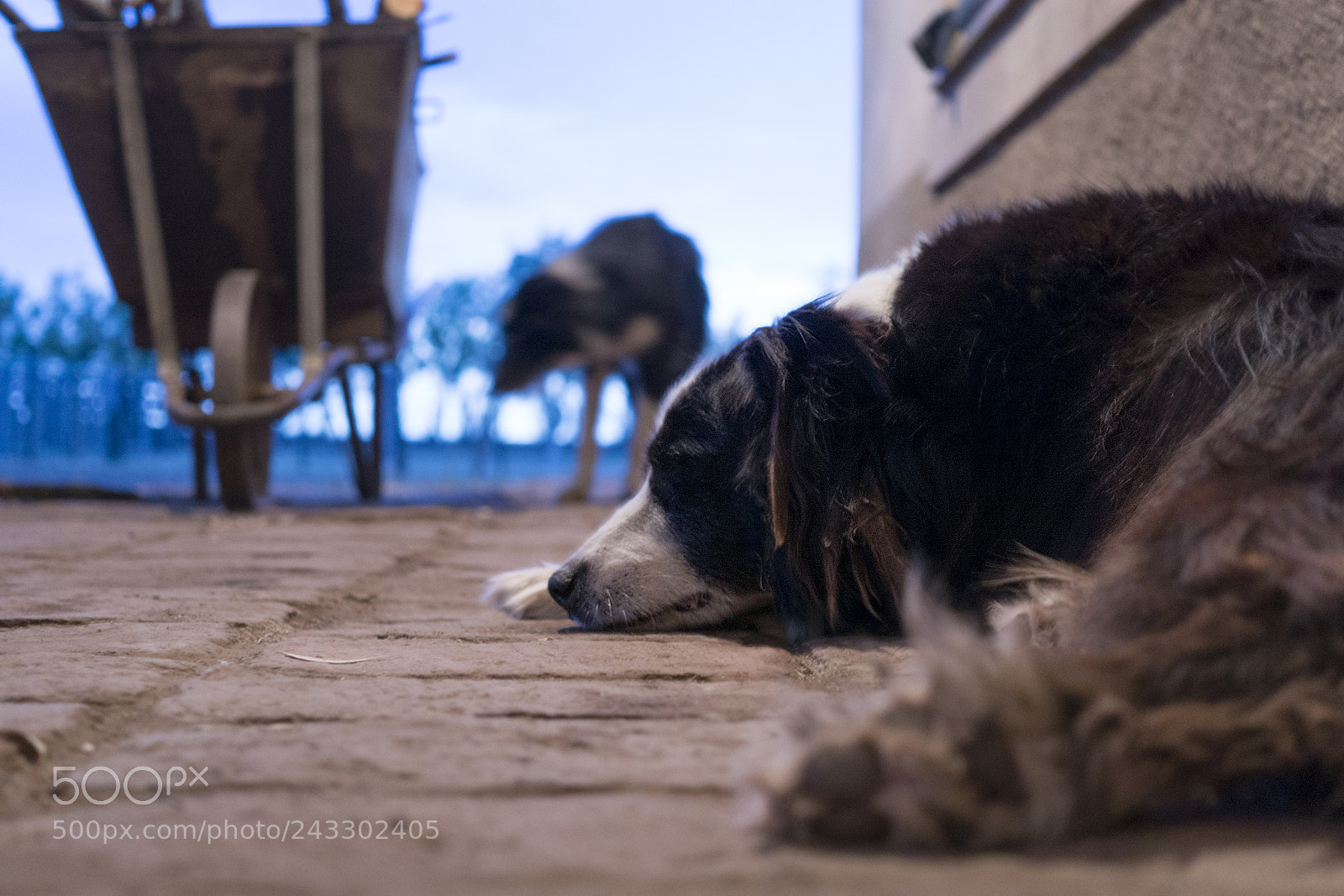 Sony Alpha NEX-6 sample photo. Borders photography