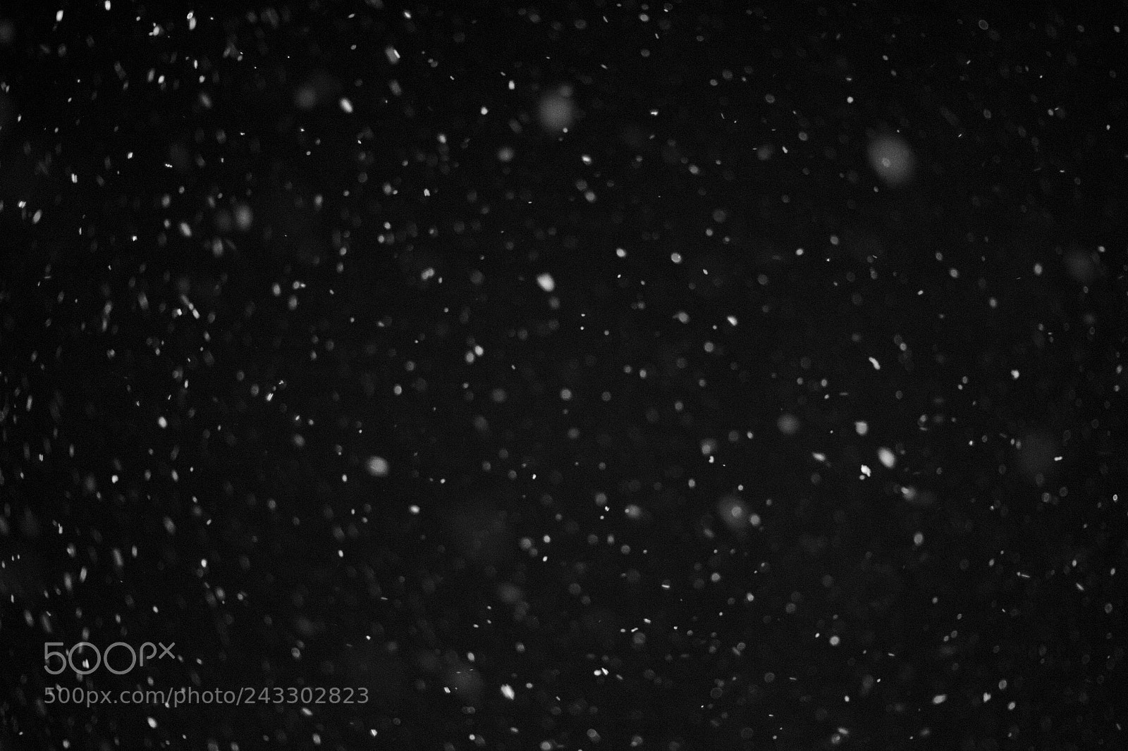 Canon EOS 100D (EOS Rebel SL1 / EOS Kiss X7) sample photo. Snow photography