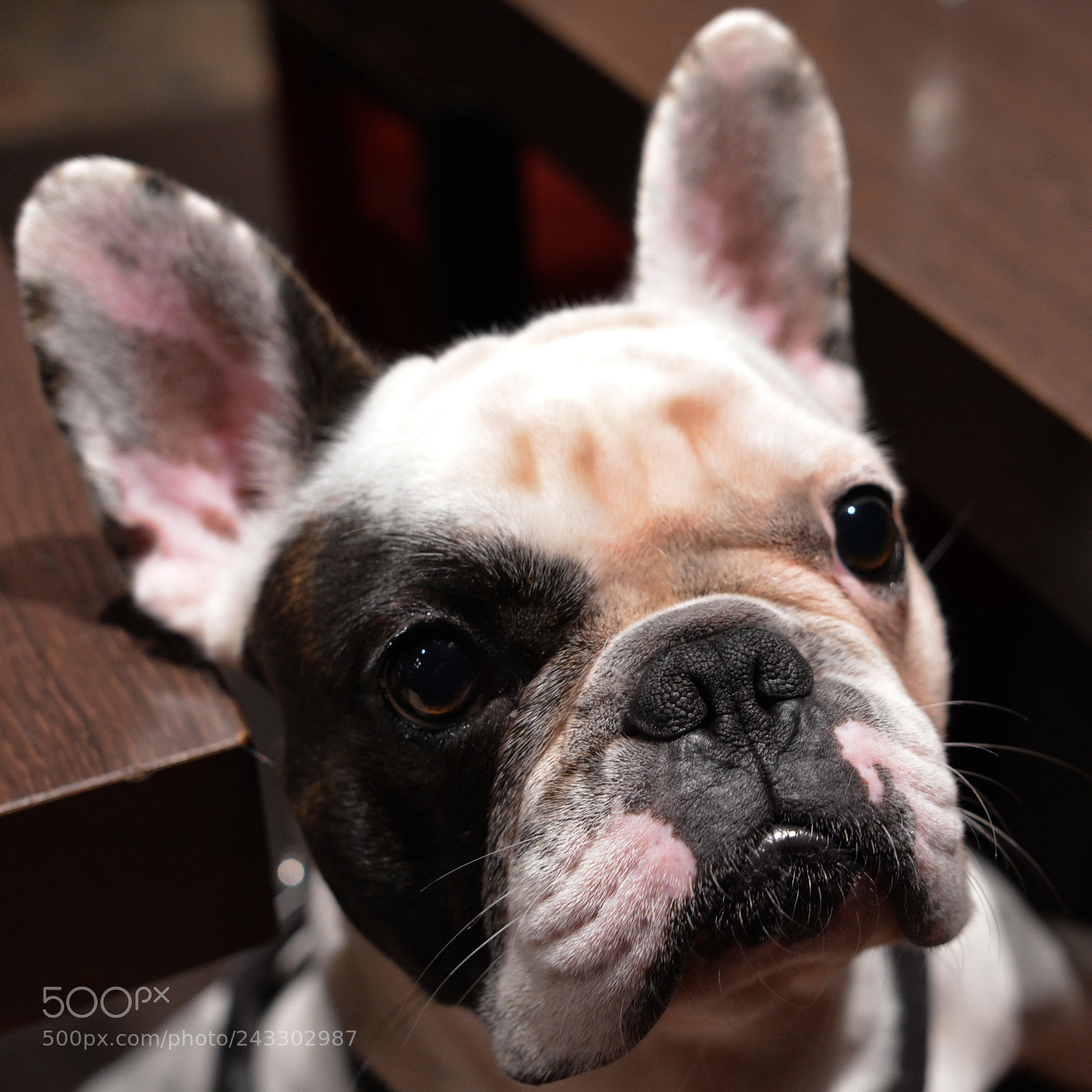 Nikon D7100 sample photo. Un peu de couleur photography