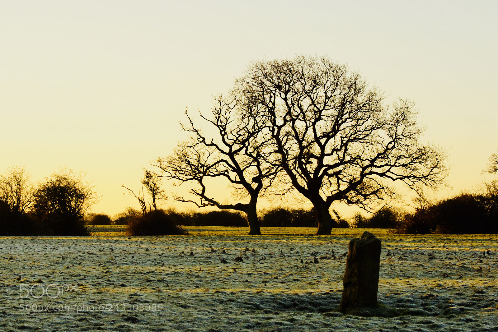 Sony Alpha NEX-7 sample photo. Stone alone. photography