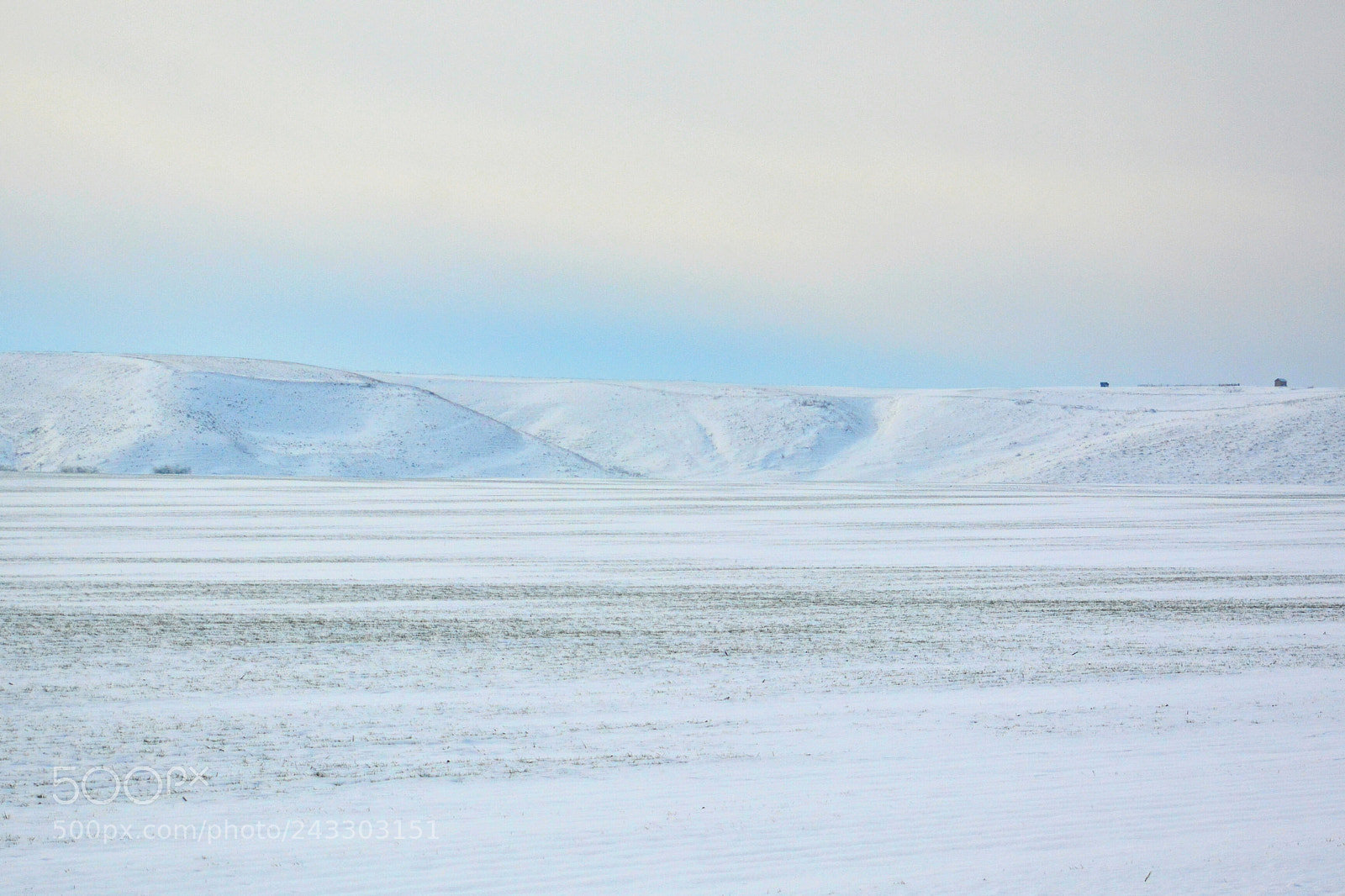 Nikon D7100 sample photo. Winter windows photography