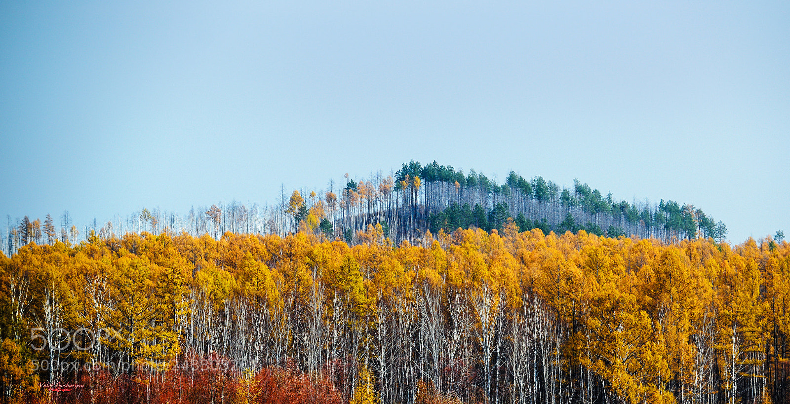 Nikon D600 sample photo. Syberia russia photography