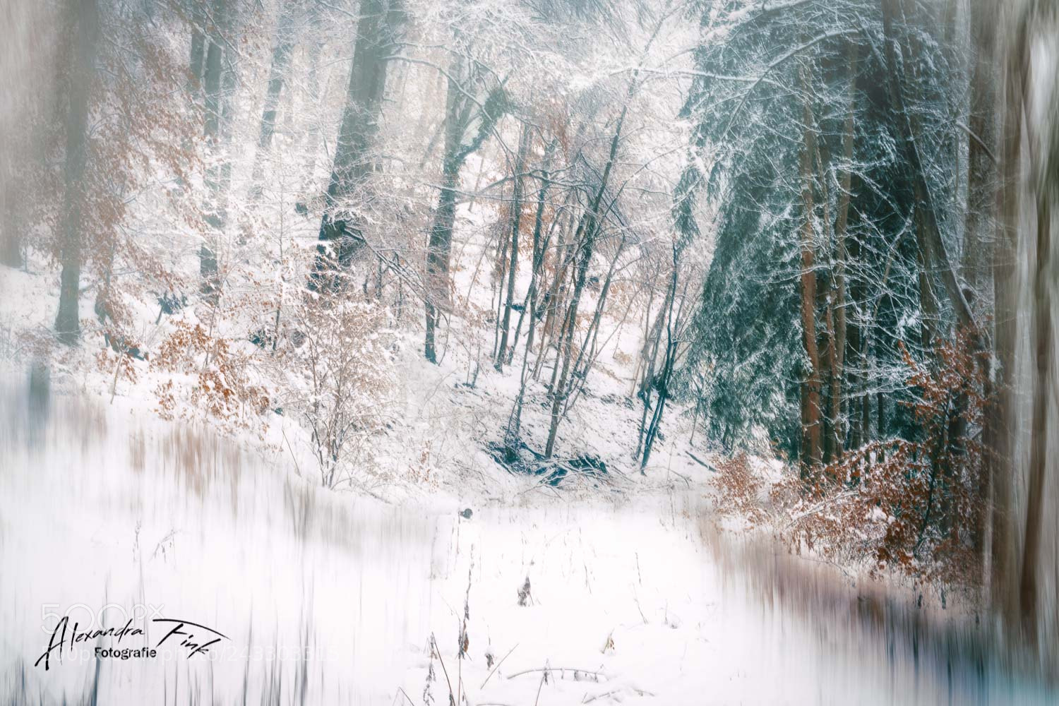 Nikon D850 sample photo. It has snowed :-) photography