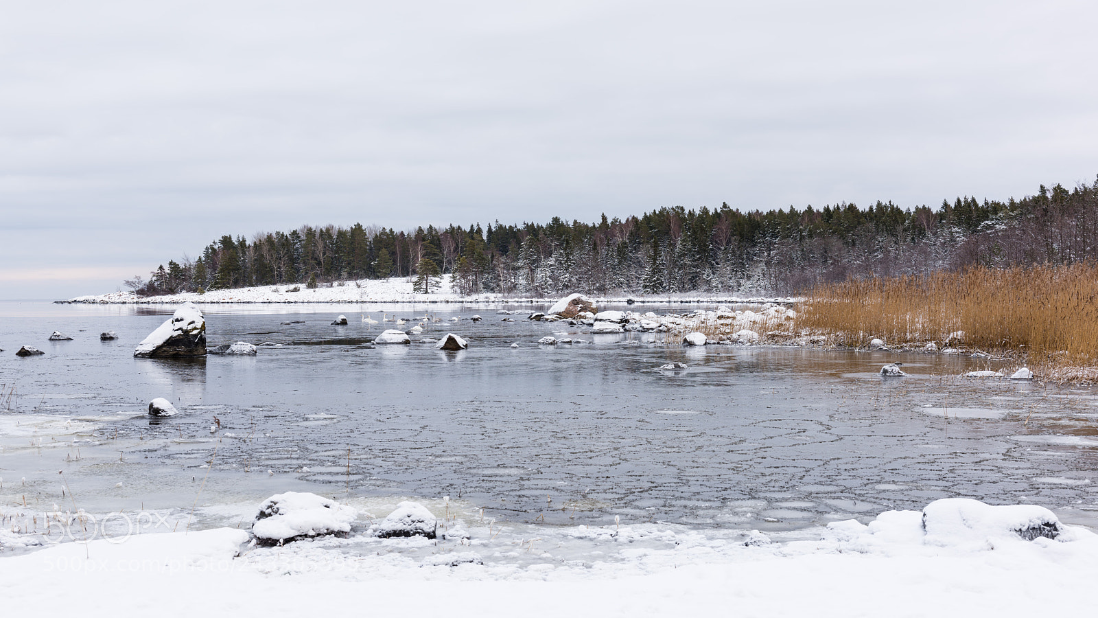 Nikon D810 sample photo. Sikhjälma photography