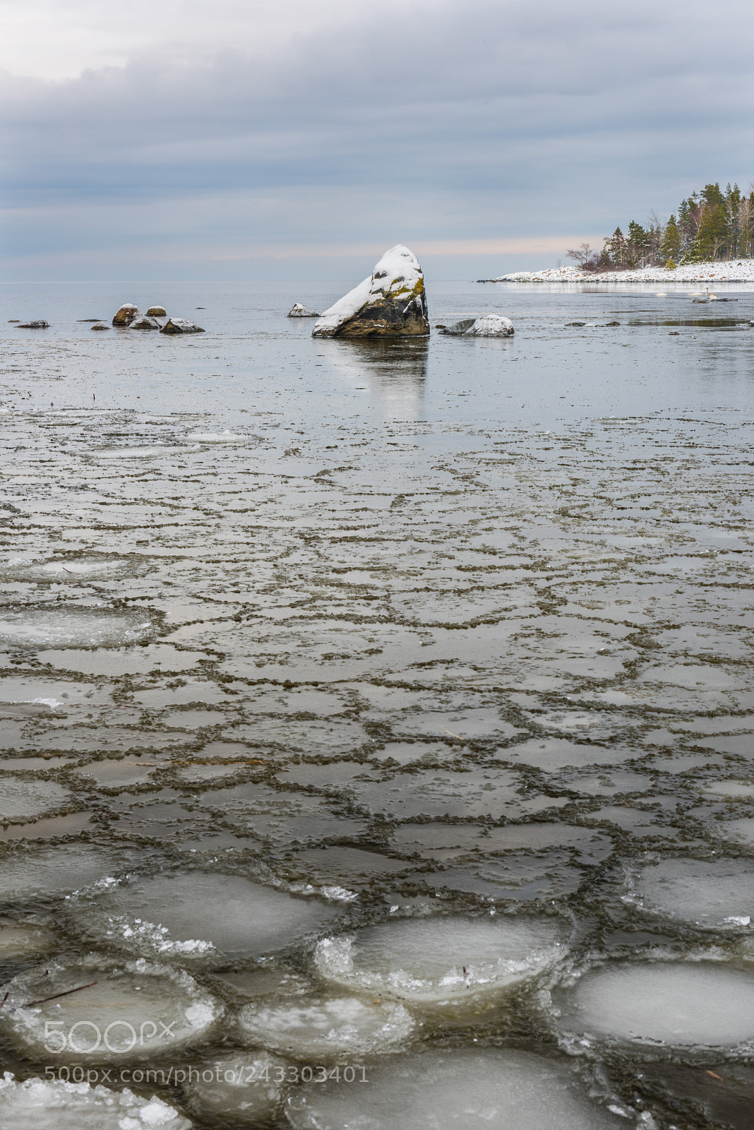 Nikon D810 sample photo. Sikhjälma photography