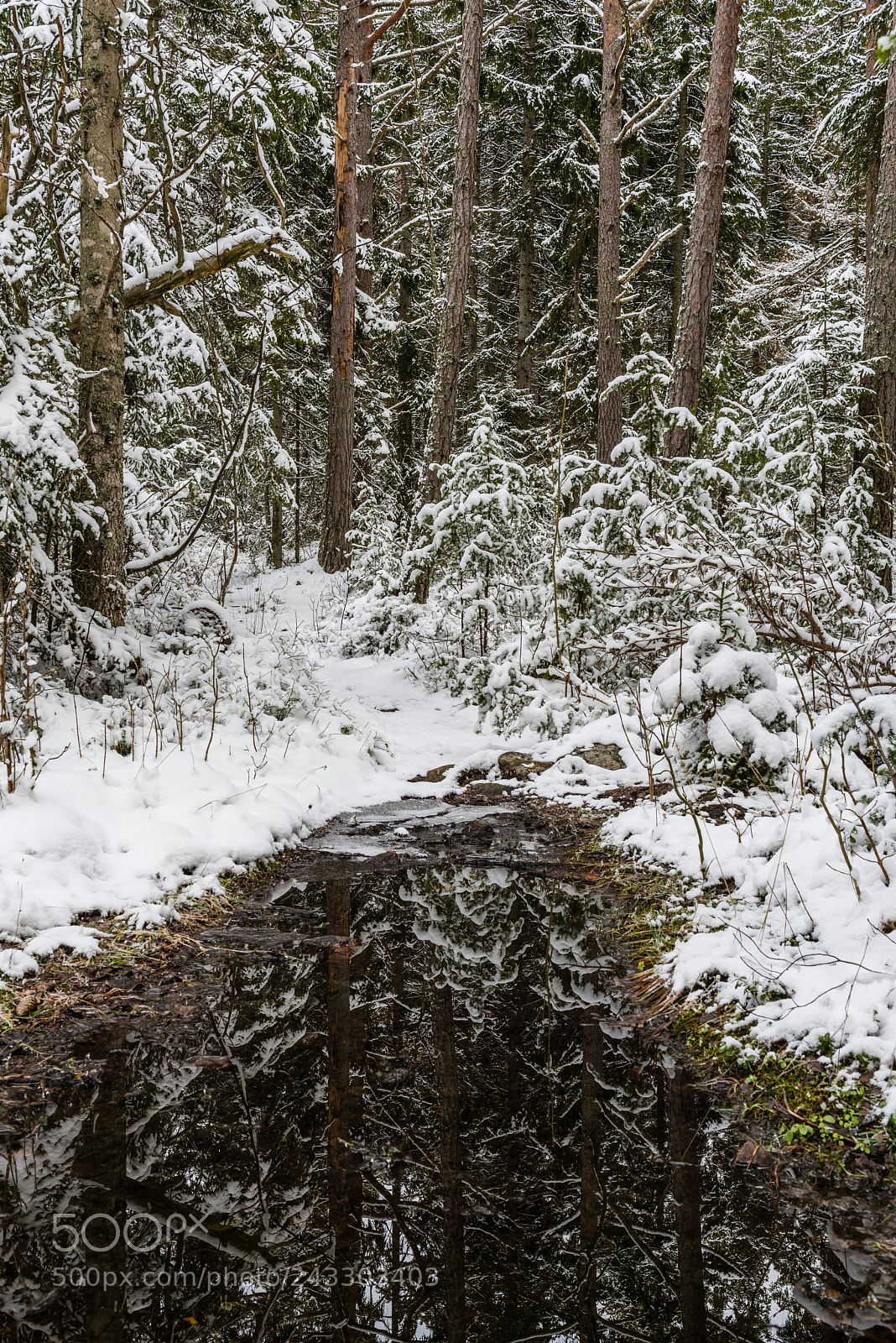 Nikon D810 sample photo. Sikhjälma photography