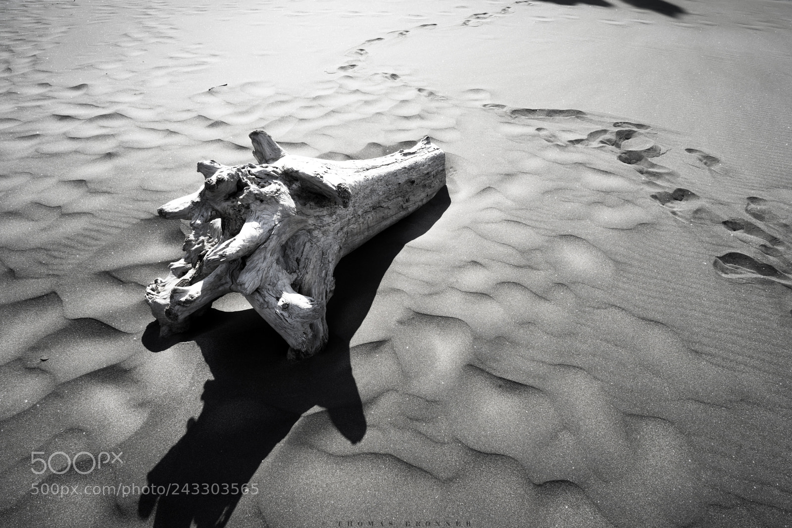 Sony a7 II sample photo. Piha beach photography