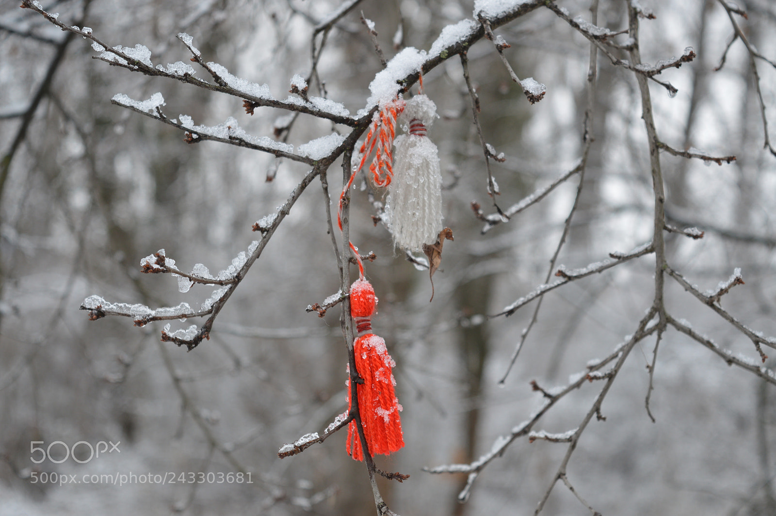 Nikon D3200 sample photo. Untitled photography