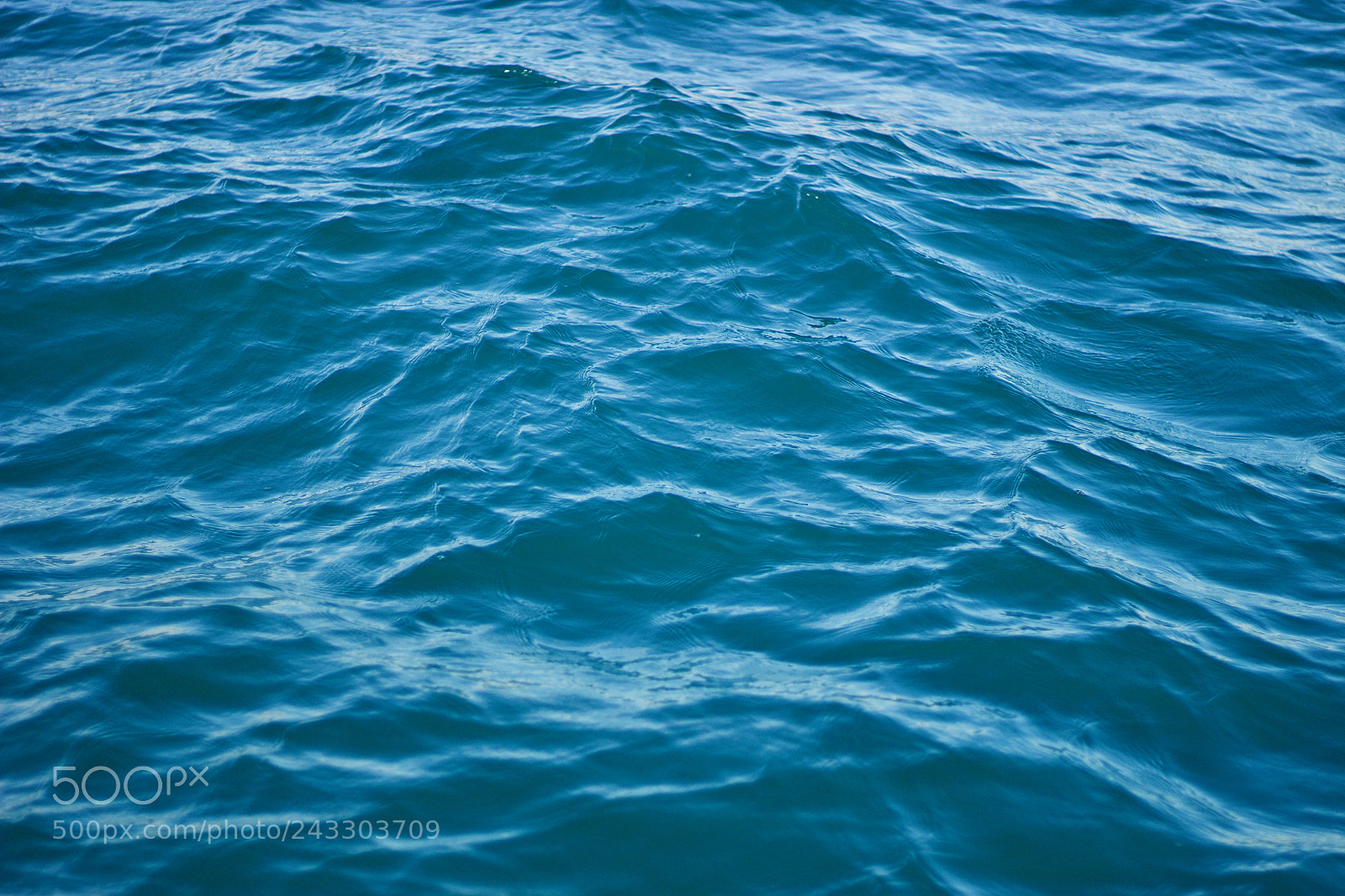 Canon EOS 100D (EOS Rebel SL1 / EOS Kiss X7) sample photo. At sea photography
