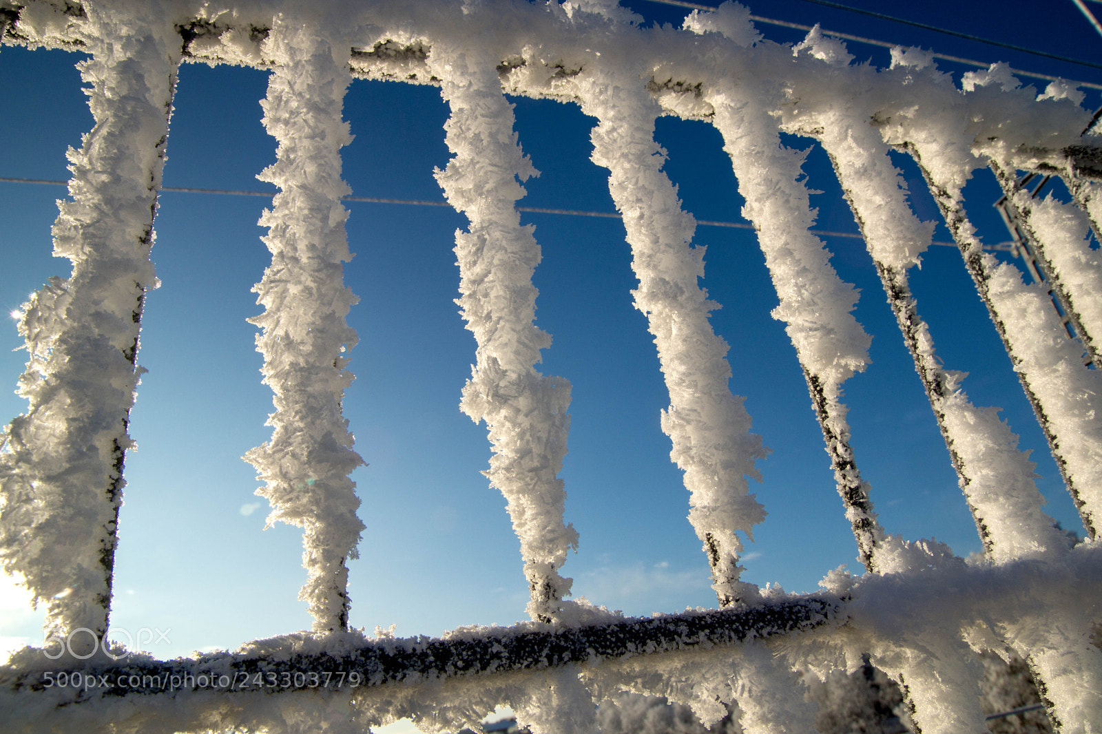 Sony SLT-A77 sample photo. Frost photography
