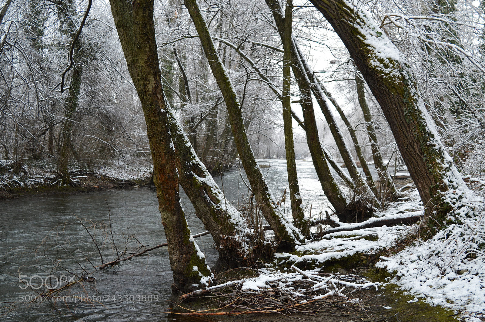 Nikon D3200 sample photo. Untitled photography