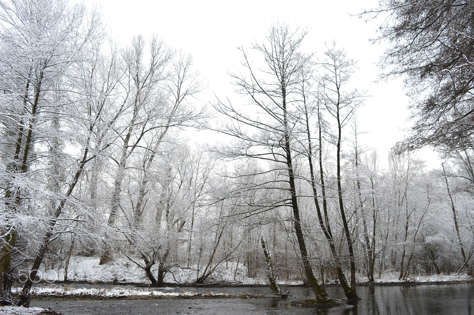 Nikon D3200 sample photo. Untitled photography