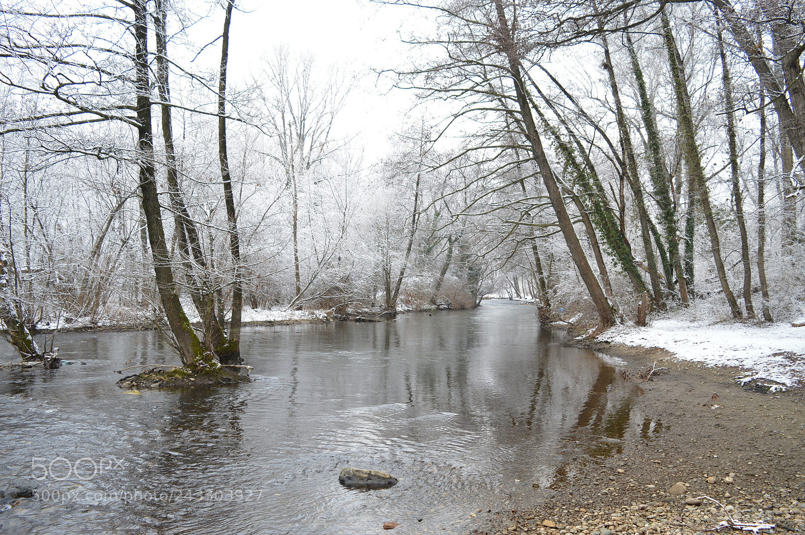 Nikon D3200 sample photo. Untitled photography