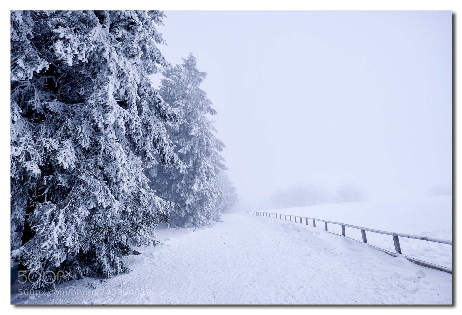 Fujifilm X-Pro2 sample photo. Whiteout photography