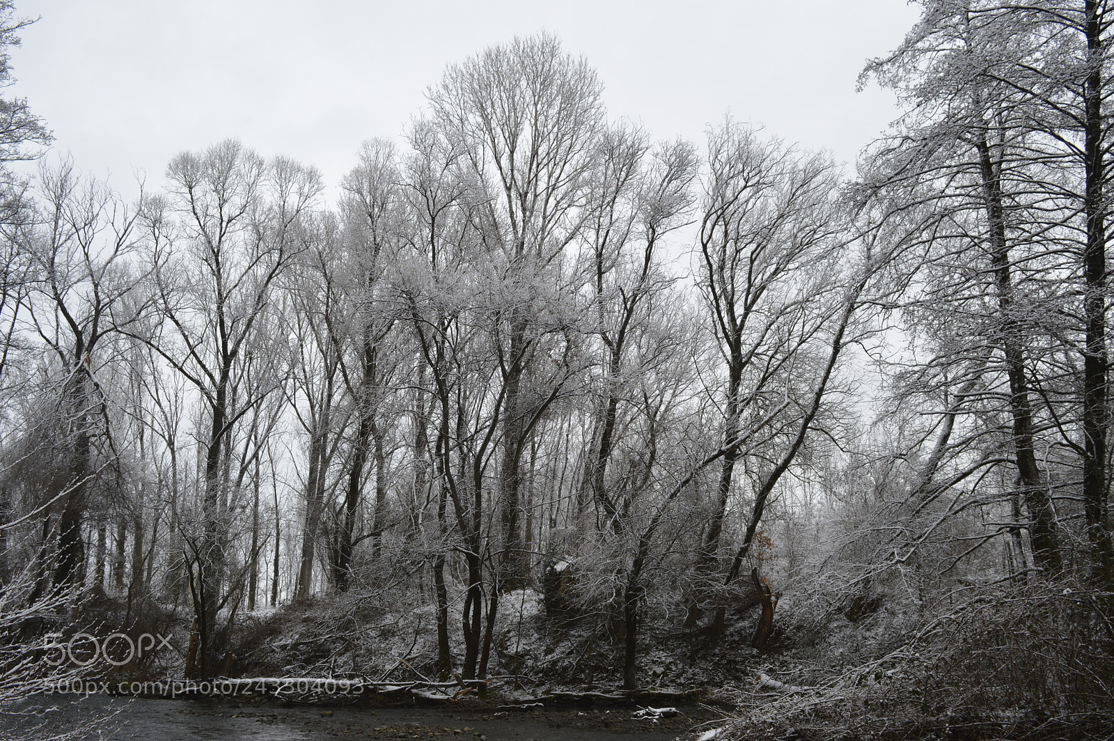 Nikon D3200 sample photo. Untitled photography