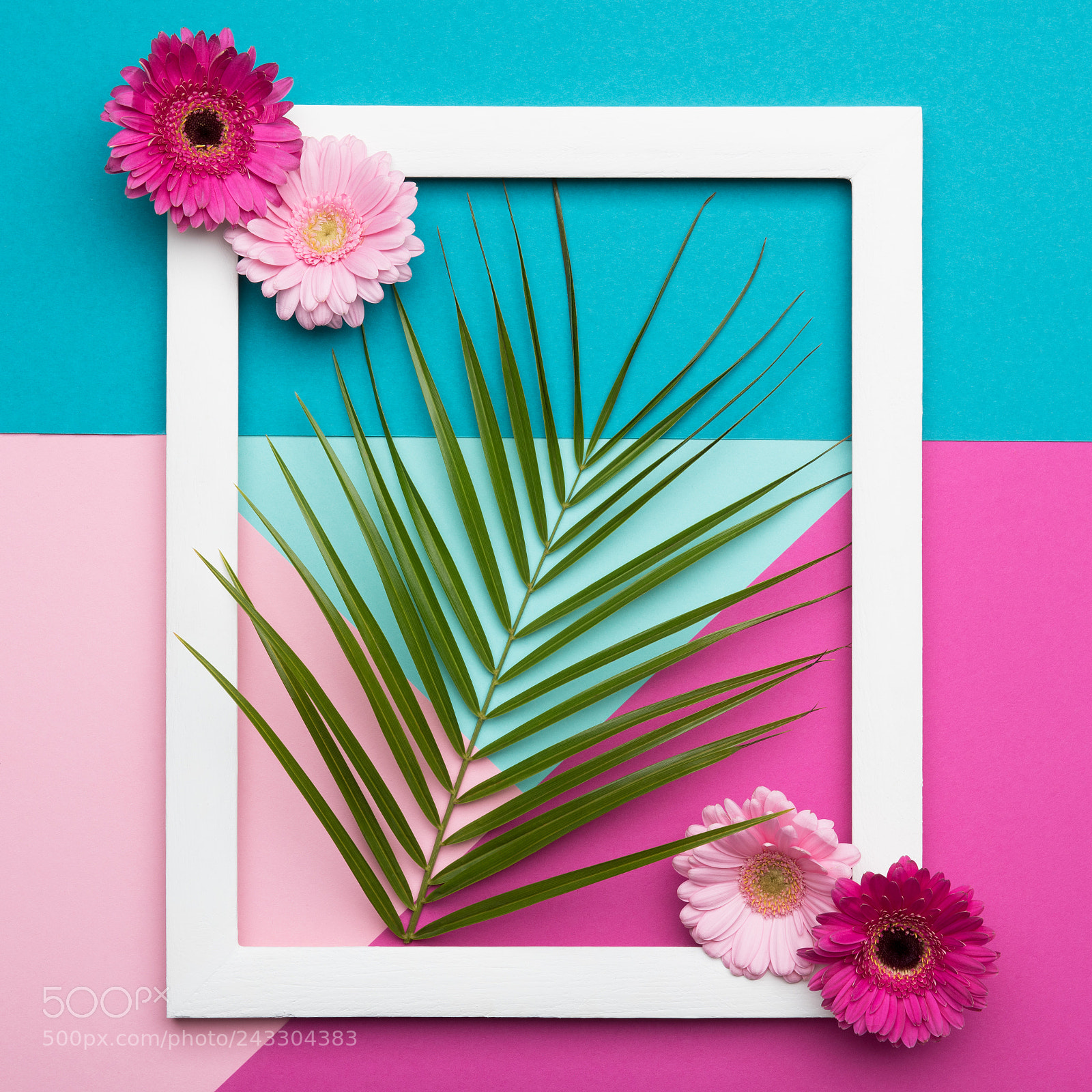 Nikon D810 sample photo. Picture frame flat lay photography