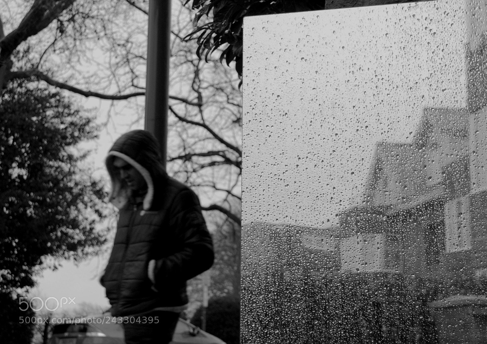 Nikon D3000 sample photo. Untitled photography