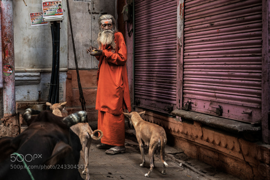 Sony a7R II sample photo. Varanasi. uttar pradesh. india. photography