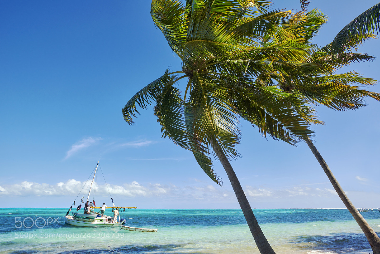 Nikon D810 sample photo. Belize cayes photography
