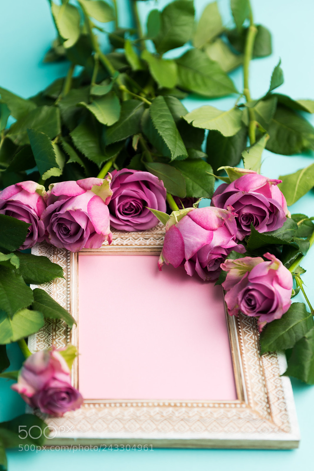 Nikon D810 sample photo. Happy mother's day, women's photography