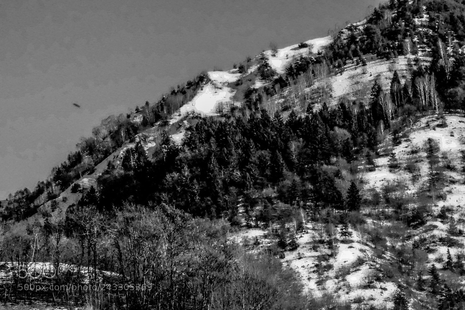 Sony a5100 sample photo. Abstract day b&w photography