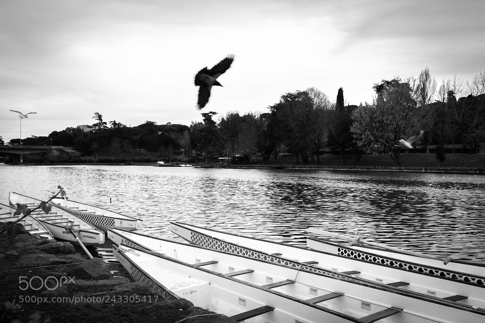 Fujifilm X100F sample photo. Rome, italy photography