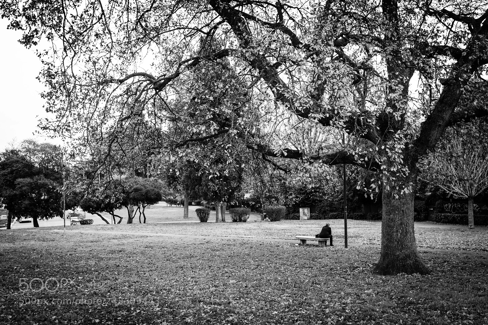 Fujifilm X100F sample photo. Rome, italy photography