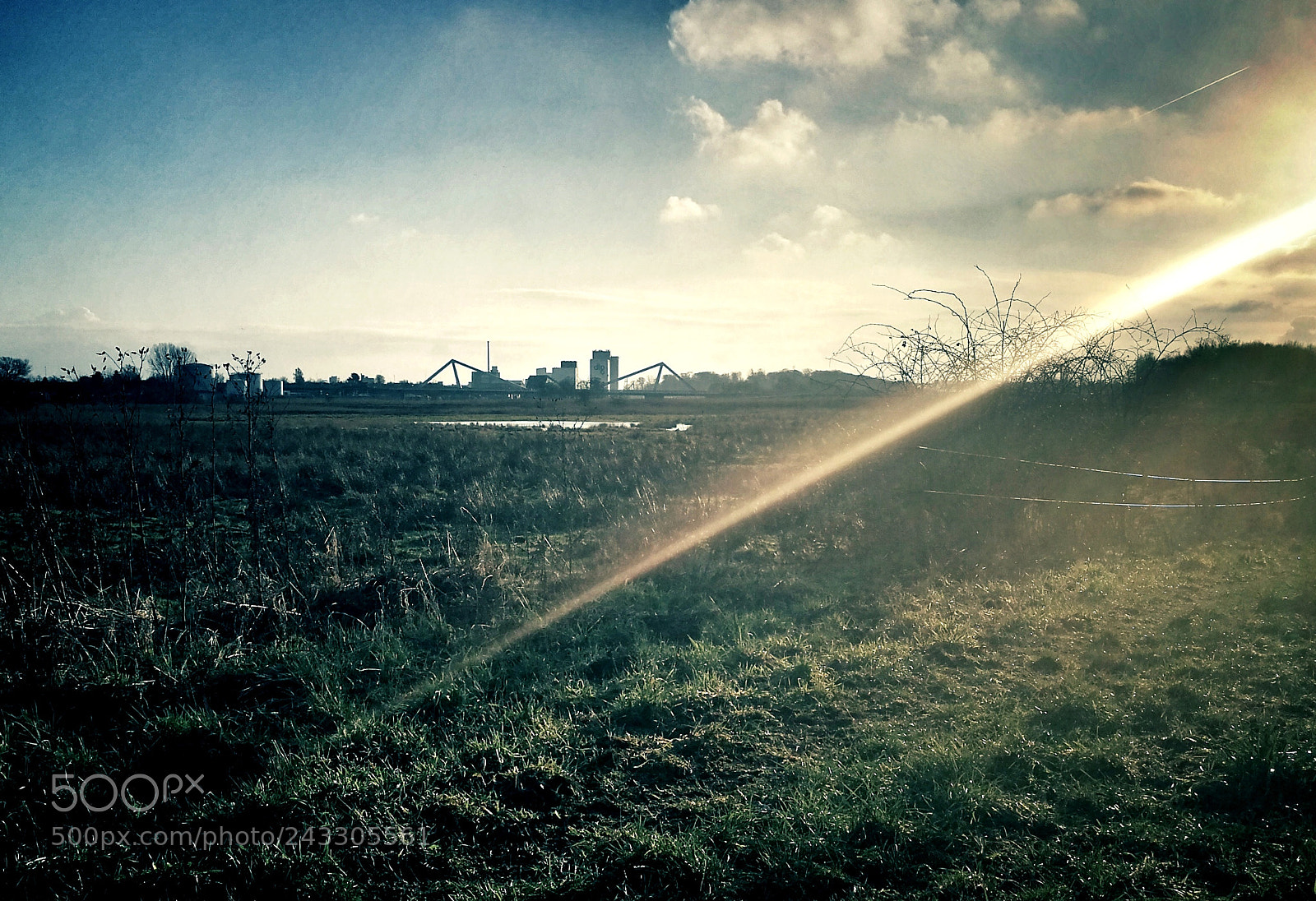 HUAWEI P10 sample photo. The sun came by photography