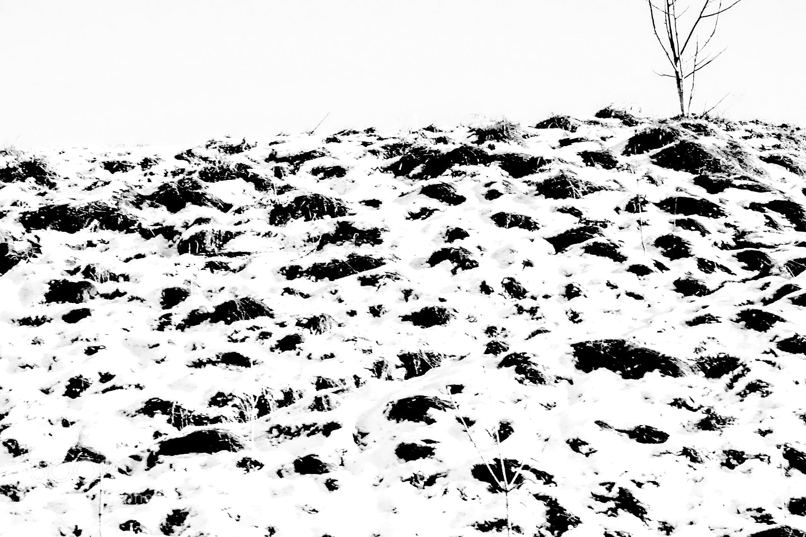 Sony a5100 sample photo. Abstract day b&w photography