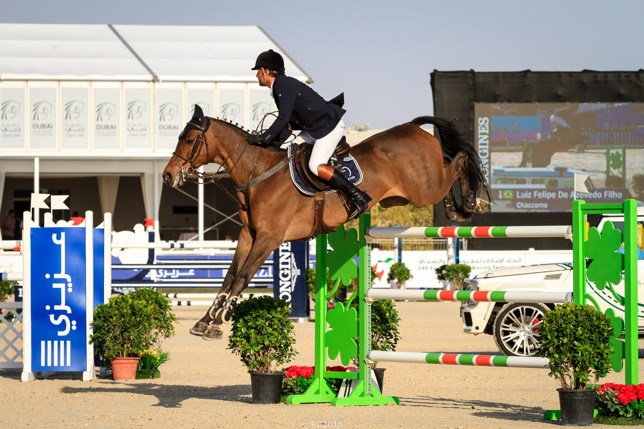 Show jumping