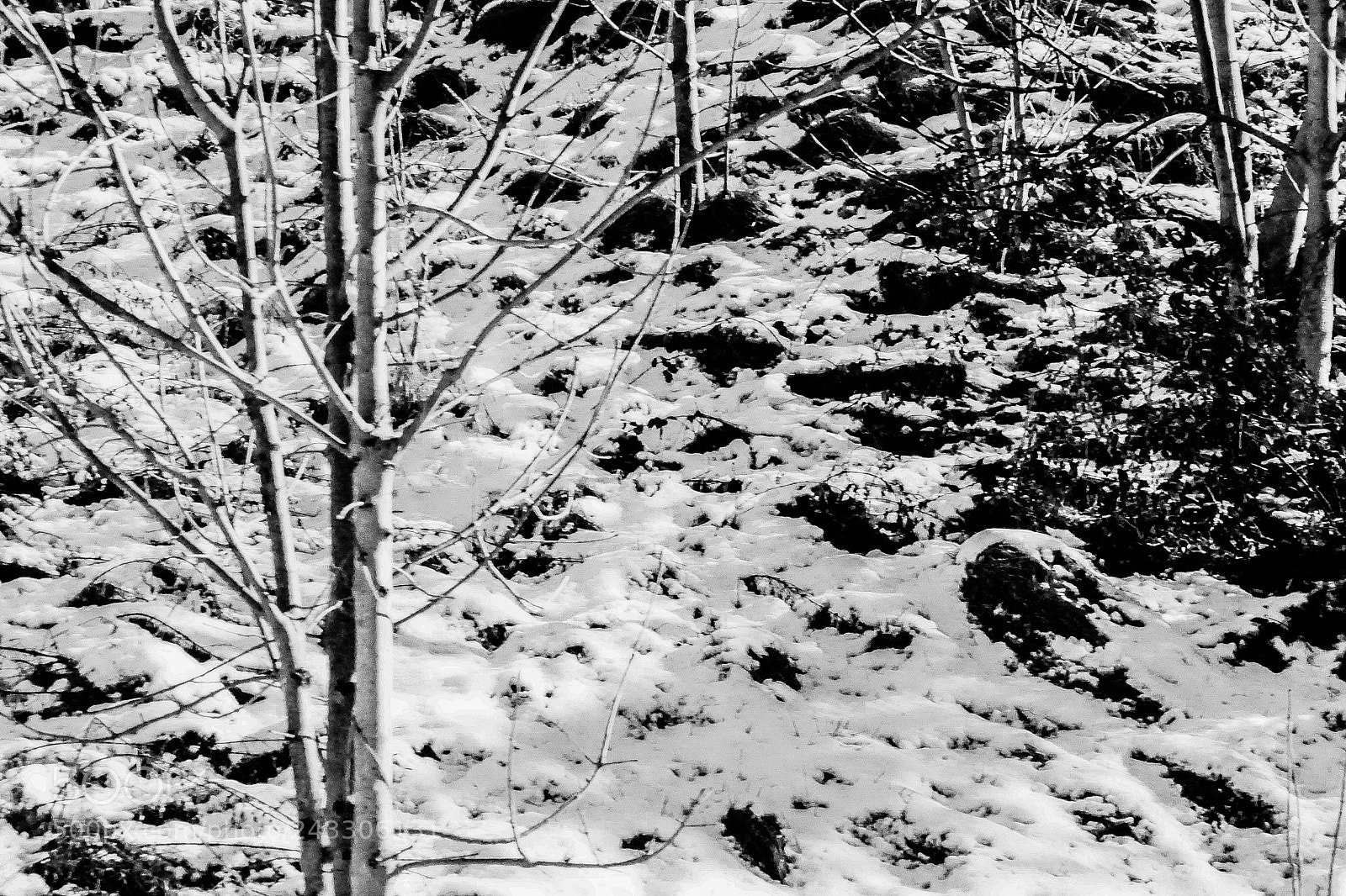 Sony a5100 sample photo. Abstract day b&w photography