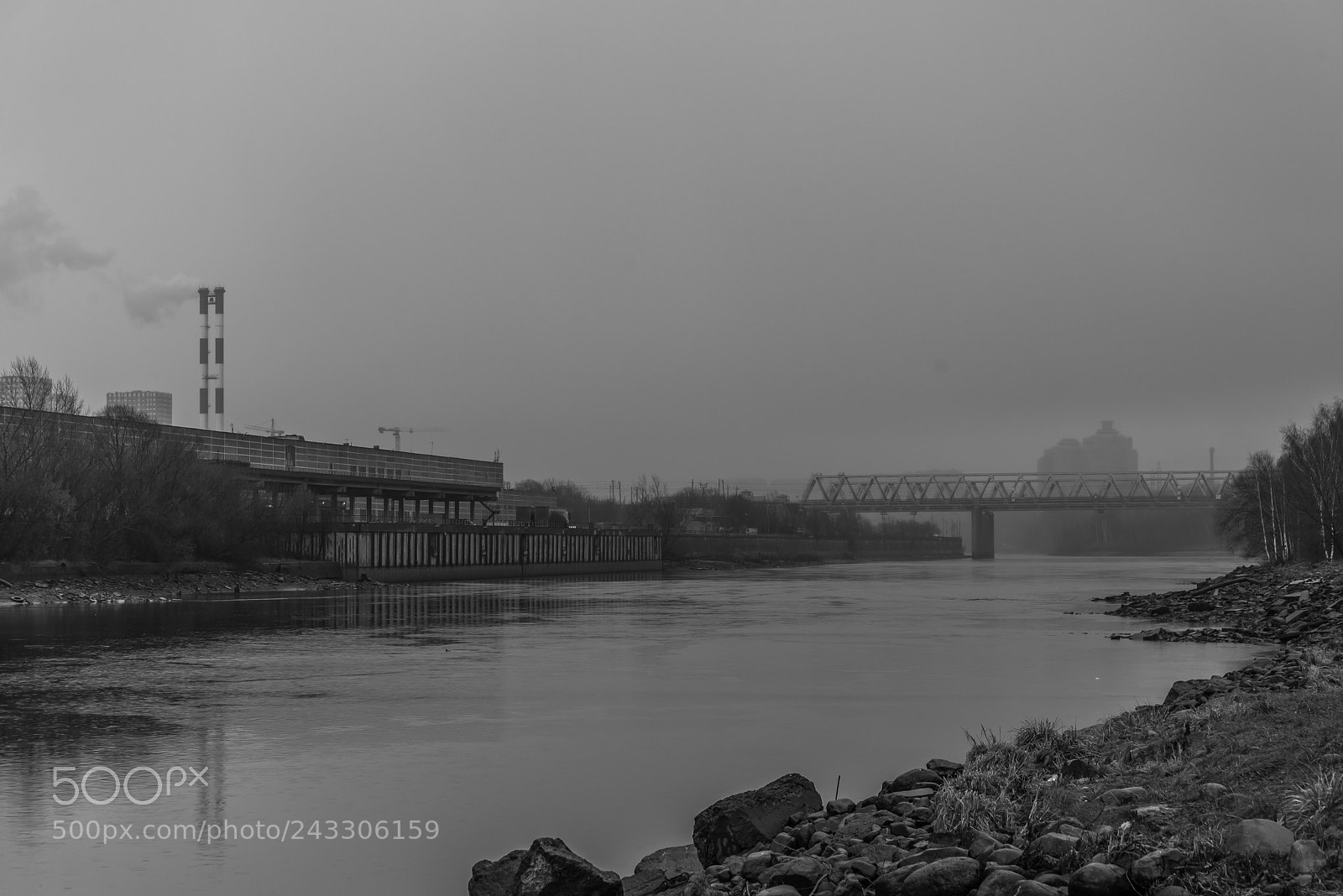 Nikon D610 sample photo. January rain photography