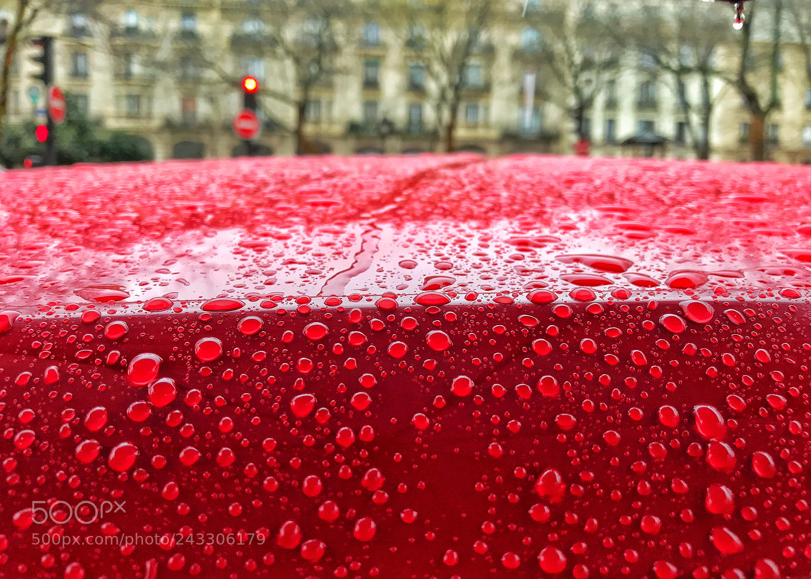 Apple iPhone 7 sample photo. Red rain photography
