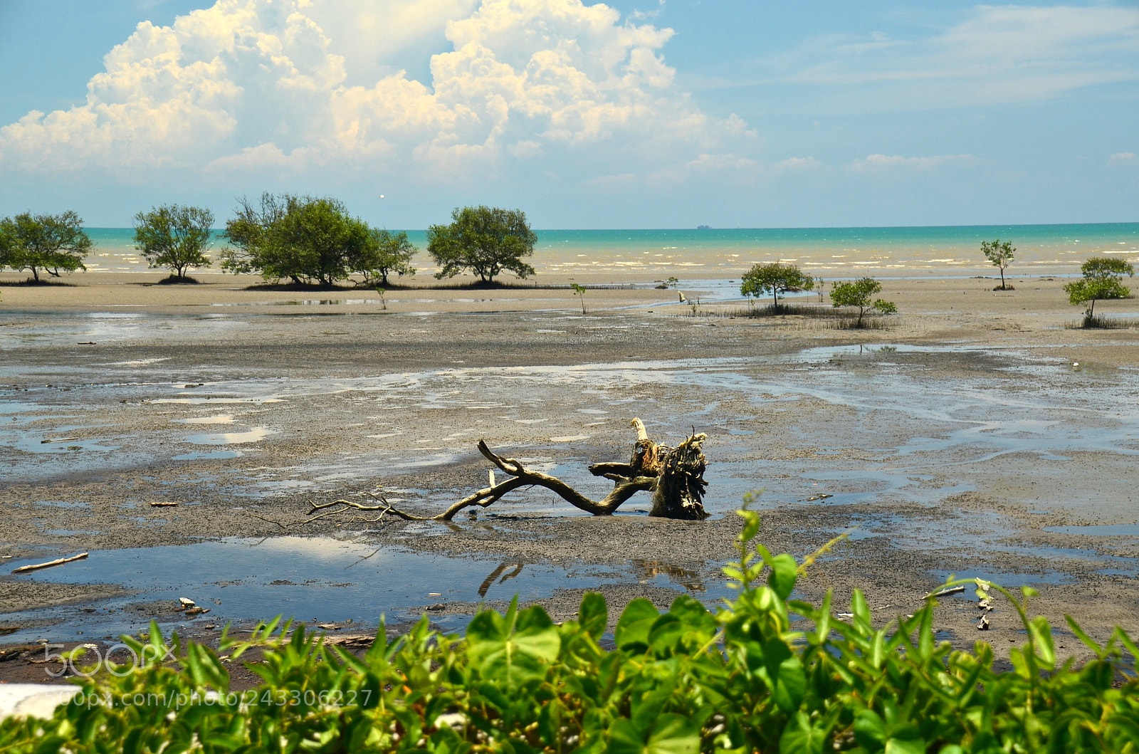 Nikon D5100 sample photo. What a view photography