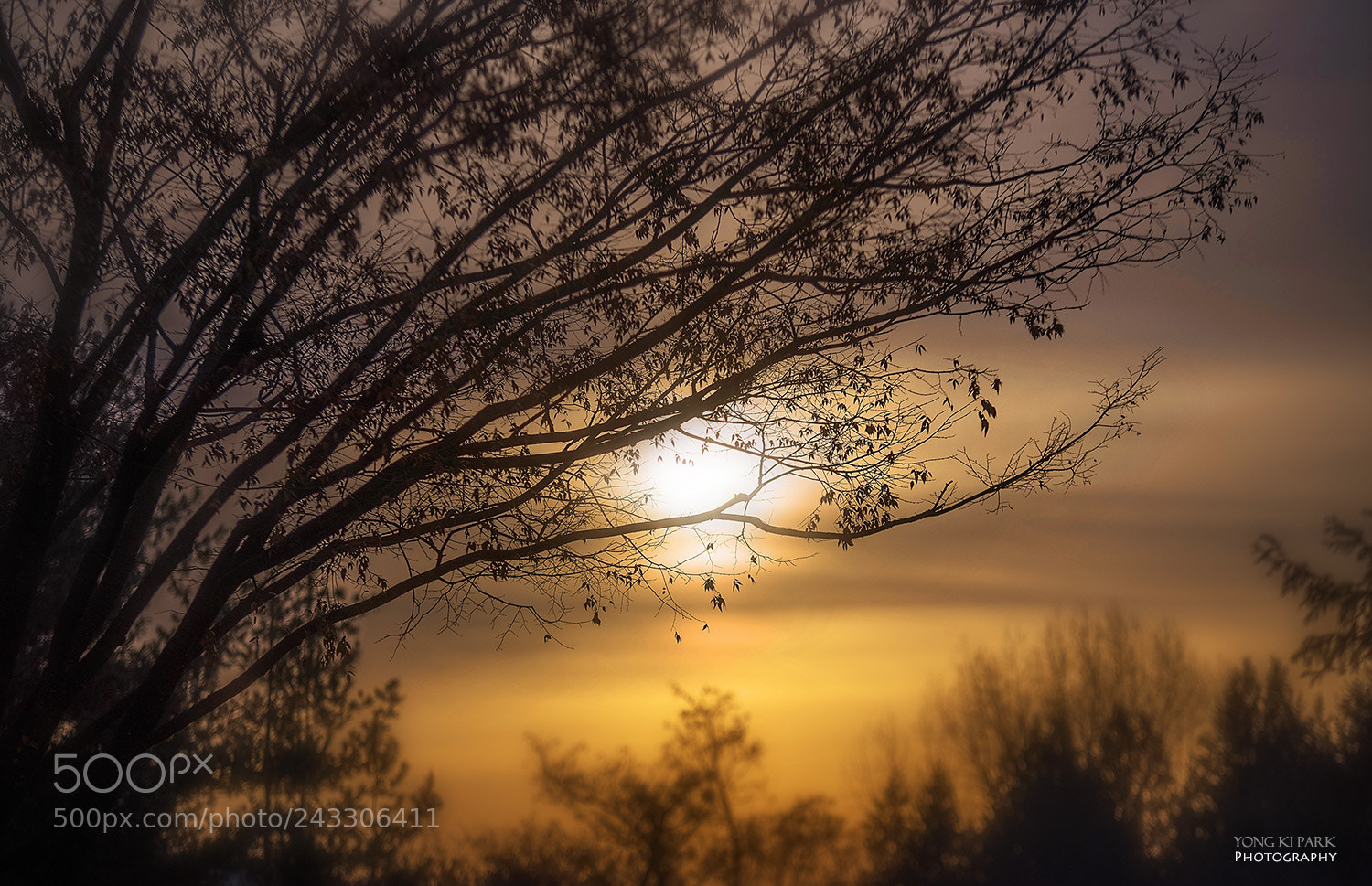 Pentax K-1 sample photo. An early morning of photography