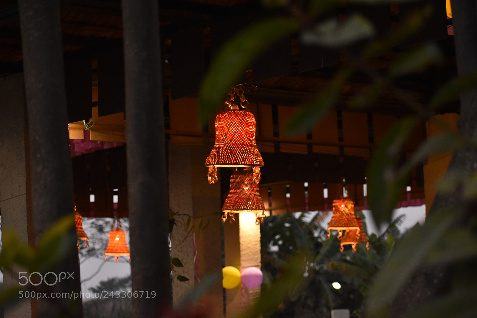 Nikon D3400 sample photo. Dsc photography