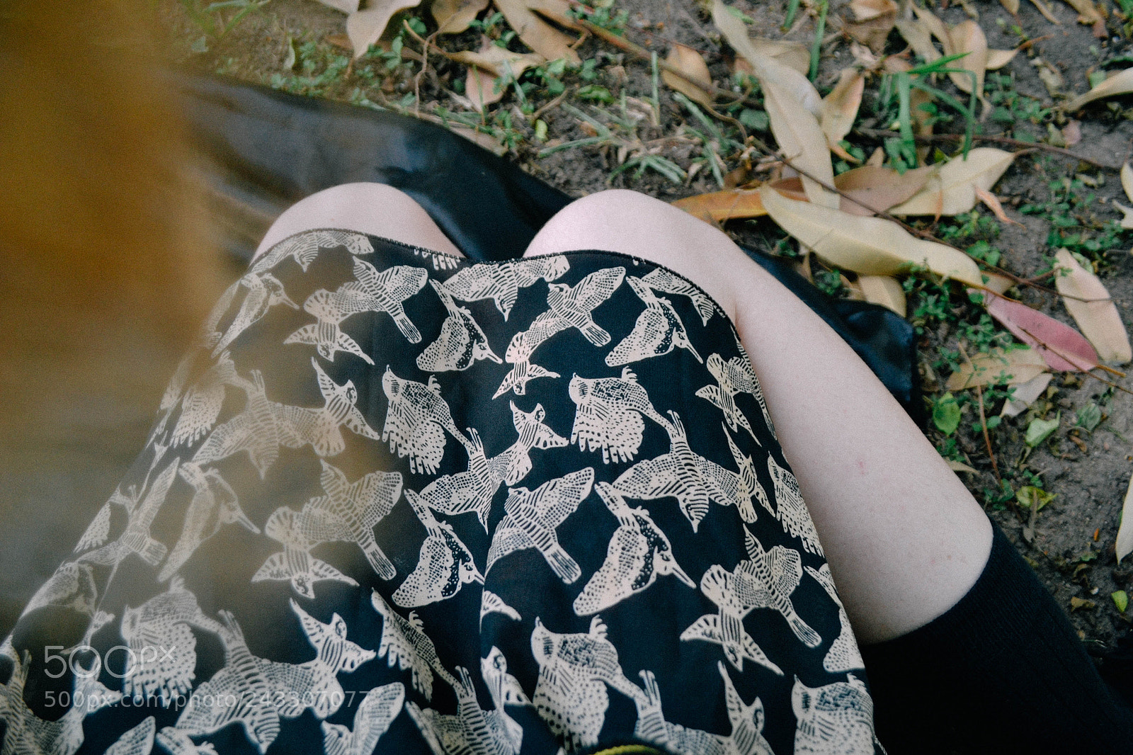 Nikon D3100 sample photo. Poe photography